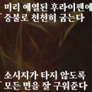 몬트락 | 뉘른베르크 소시지 솔직 후기｜몬트락몰 독일소시지 추천｜피크닉, 캠핑음식으로 최고!