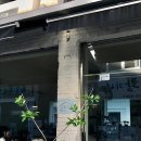 중구청역 1번 출구 옆 | 대전 대흥동 카페 융프라우 낮술&amp;외부 빵 디저트 반입 가능 카페