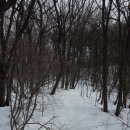 화산목장 이미지