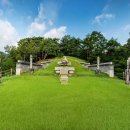 1521 Daum카페