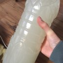 EM맑은세탁 이미지