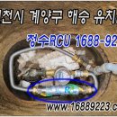 맑은물유치원 이미지