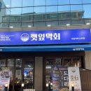 진도막회 | [논현동 맛집] 혼술러도 눈치 제로🙌 깻잎막회 논현점 — 1인 메뉴에 새벽 5시까지, 논현동 술집 찐 후기