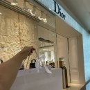 다모아레이디