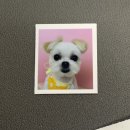 해피그래스 이미지