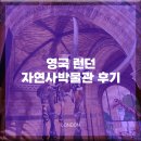 한국자연사박물관 | 영국 런던 자연사박물관 관람 후기