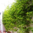 우리빌딩 이미지