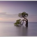 숨바이오