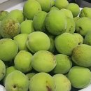 대은농장 이미지