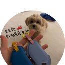 메트로생활용품점 | [차량용품 구매일지] TPE매트/핸드폰거치대/화면보호필름/차키케이스