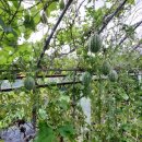 산의농장 이미지