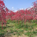 만춘농장 이미지