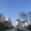 해민약국 이미지