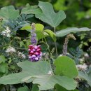 용장3리 이미지