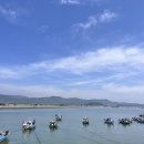 아트 퍼포먼스 「페인터즈」 (초·중·고 단체관람) | 충청 보령·태안 여행 가볼 만한 곳 : 죽도 상화원, 대천해수욕장, 충청수영성, 태안 신두리해안사구