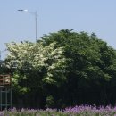 영천강변공원 공중화장실(4) 이미지