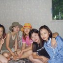 은미민박 Daum카페