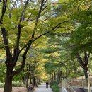 경기도 수원시 권선구 권중로 171 이미지