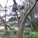 삼계원 이미지