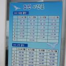 원조 이수민박 이미지