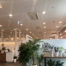 연꽃 | 일산 맛집 데이트 상견례하기 좋은, 한정식 연화수 연꽃상정식 솔직후기