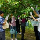 입실2리 이미지