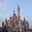 쿠폰 | 15주 임산부 상하이 디즈니랜드 어트랙션, 식음료 쿠폰 사용 후기