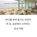 송정 이미지