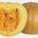 호박한의원 이미지