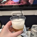 2174 | 고베 항공권, 고베 직항 대한항공 기내식 KE2171 KE2174 탑승 후기