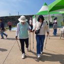 웅천읍성 이미지