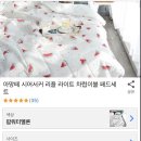 SS이불빨래방 이미지