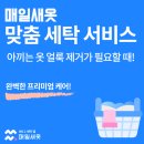 수정세탁빨래방 | 매일새옷 어플로 부산 괴정동 세탁배달 서비스 사용해본 후기