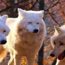 BLACK HOLE PC 이미지