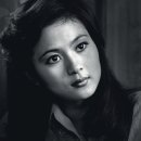 유지인 카카오 검색결과