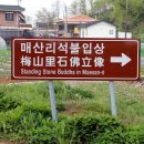 미륵당오층석탑 Daum카페