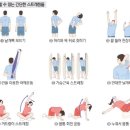 아트필라테스 - 용인시 기흥구 한보라1로 14 | 아트필라테스