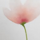 늘솜쓰담