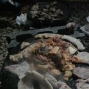 하늘숲캠핑장 이미지