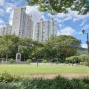 영천선약국 이미지