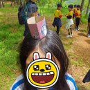 4월30일(목) 동래초 2학년 (3,4반) 생태탐험 활동후기 이미지