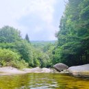 사선대황토펜션 이미지