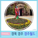 (주)월드22 | 외국인 친구와 경주 여행 경주 월드 놀이 기구 대기 시간 파에톤 스콜 앤 하티 크라크 후기