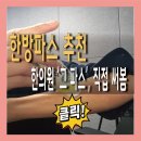 한의원 한방파스 추천 케이엠 시프겔 파는곳