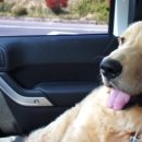 성산골든펜션 이미지