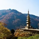 청량사 - 839 | 청량사