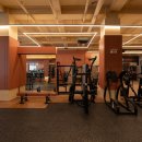 브로피트니스 복대점 이미지