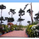 가을음악회 이미지