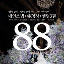 메종화이트