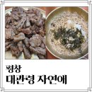 평창 맛집 대관령 자연애 숯불고기 메밀쌈 막국수 내돈내산 후기 주차 꿀팁